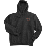 Biggby Bombers Ultimate Cotton - Pullover Hooded Sweatshirt