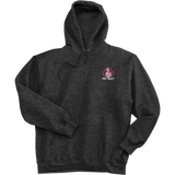 St. Peter's Prep Ultimate Cotton - Pullover Hooded Sweatshirt