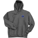 Carolina Thunder Super Heavyweight Fleece Hoodie